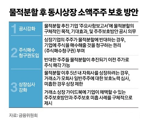 물적분할 후 동시 상장 소액주주 보호 방안