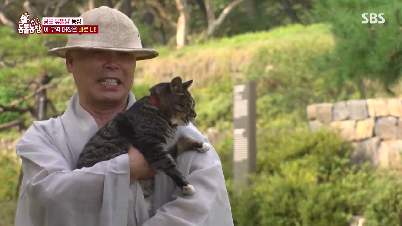 TV 동물농장.E1143.231030p-NEXT.mp4_20231029_161344.516.jpg