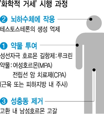 화학적 거세 설명 자료