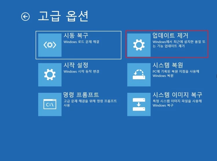 업데이트_제거