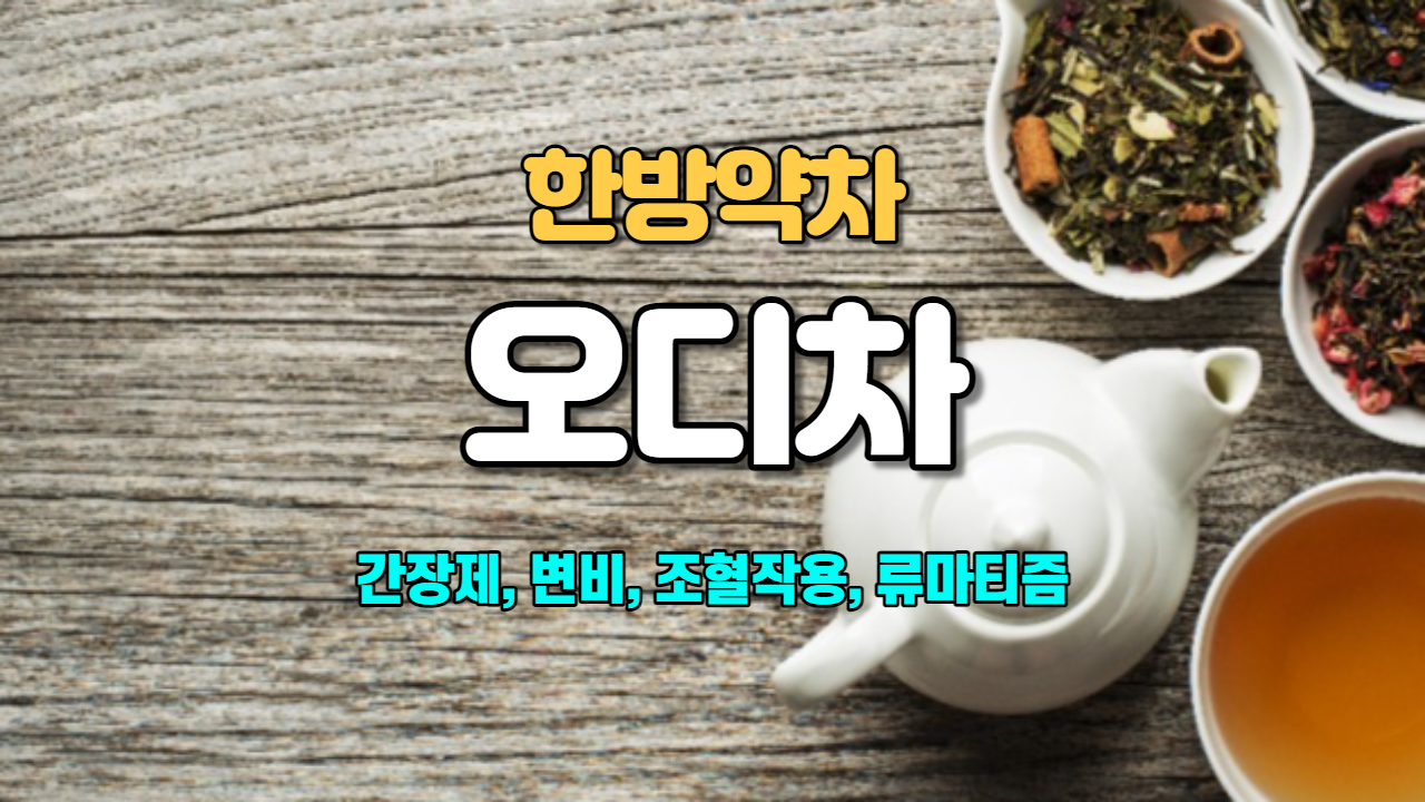  오디차
