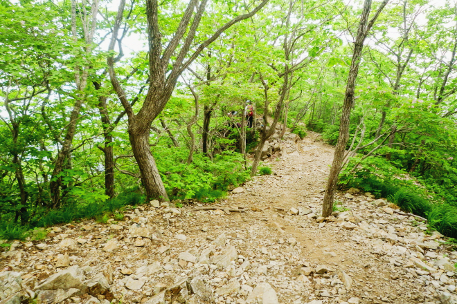 한국 명산 경남 밀양 가지산 등산 mountain hiking