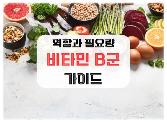 비타민 B군: 각 비타민의 역할과 필요량 가이드