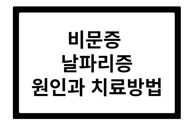 비문증 날파리증 원인과 치료방법