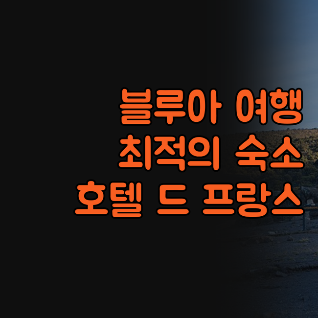 호텔 드 프랑스 엣 드 기즈, 블루아
