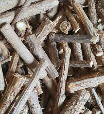 가시오가피의 12가지 장점 18