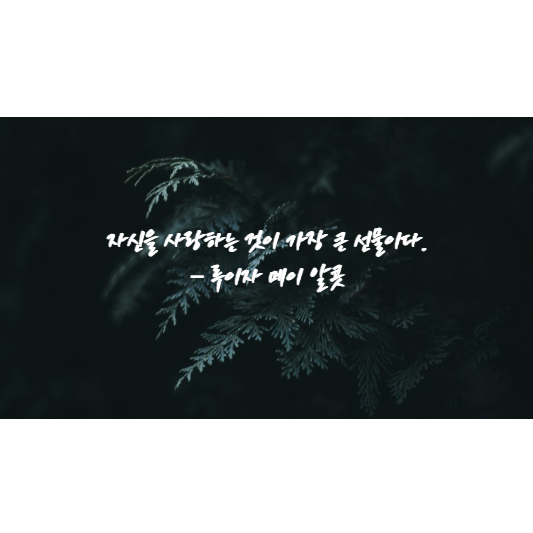 이미지