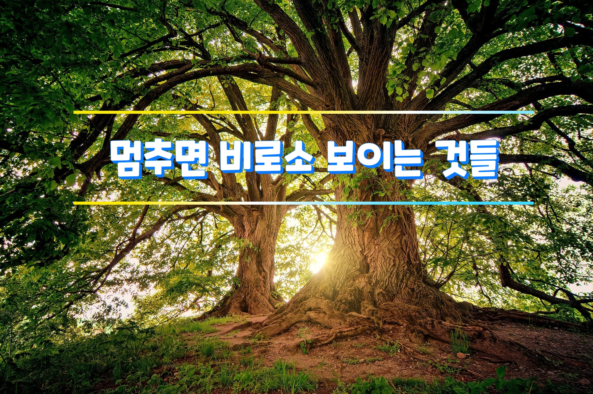  멈추면 비로소 보이는 것들