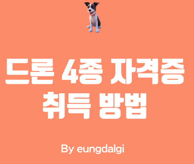  드론 4종 자격증: 초보자를 위한 안내서