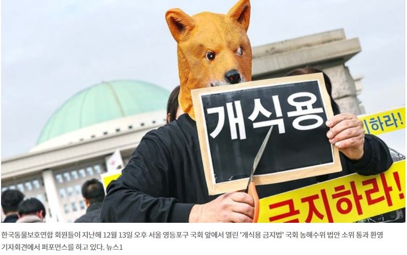 오락 및 문화 물가지수, 27년 만 최대 폭 상승 ㅣ'개 식용 금지법' 단 한표의 반대도 없었다