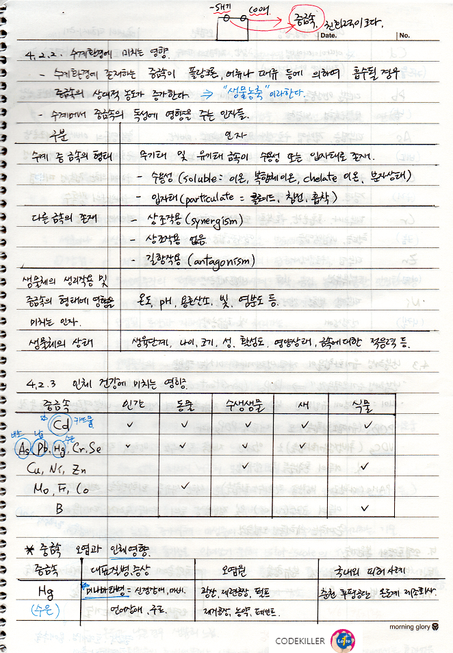 토양오염이 수계 및 인체에 미치는 영향