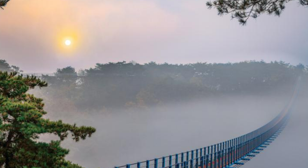 소금산 출렁다리 야간사진