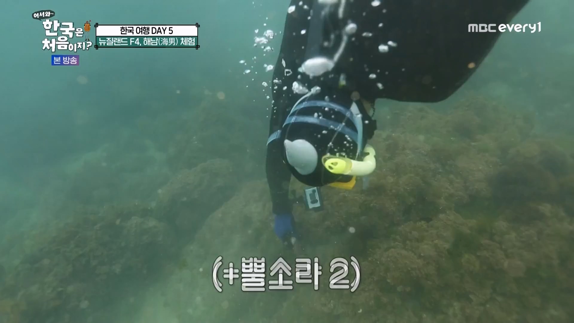 어서와 한국은 처음이지.E272.230720p.WANNA.mp4_20230722_180649.756.jpg