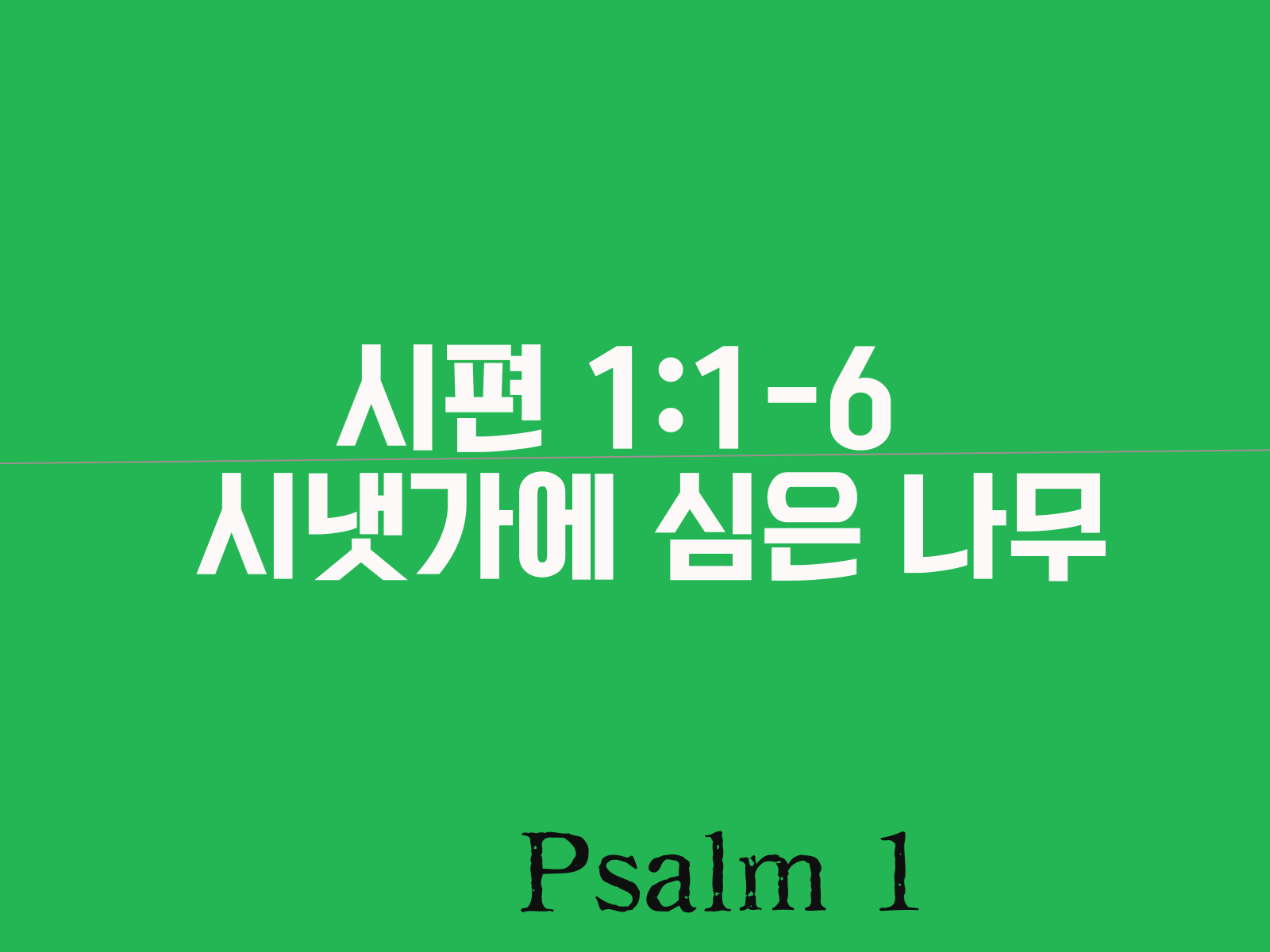 시편 1편 1-6절&#44; 시냇가에 심은 나무