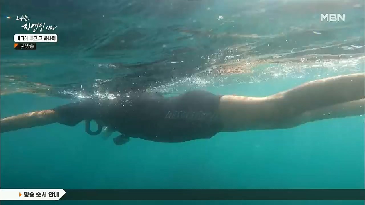 나는 자연인이다.E530.221131p.H264-F1RST.mp4_20221201_212027.210.jpg