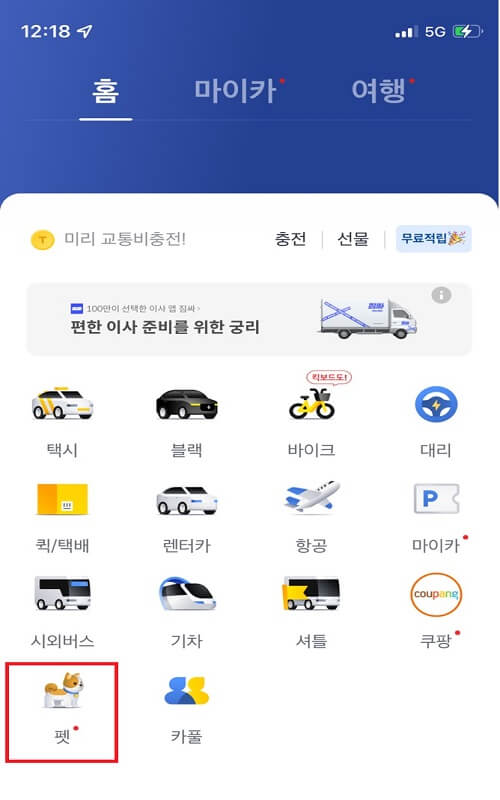 반려동물_택시_카카오t펫