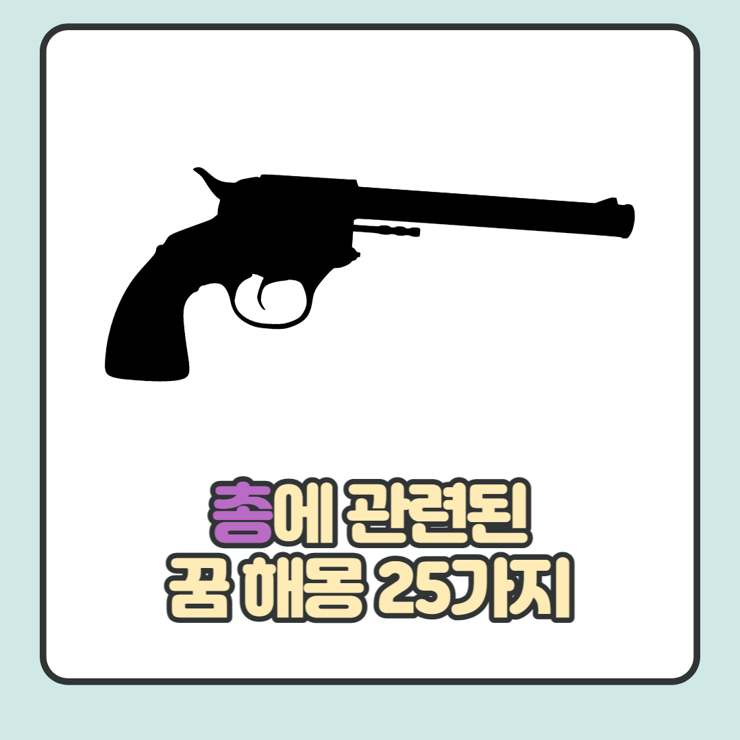  총에 관련된 꿈 해몽 25가지 총 정리