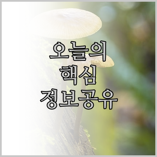 마스토미 료칸 선택 가이드! 하코네 