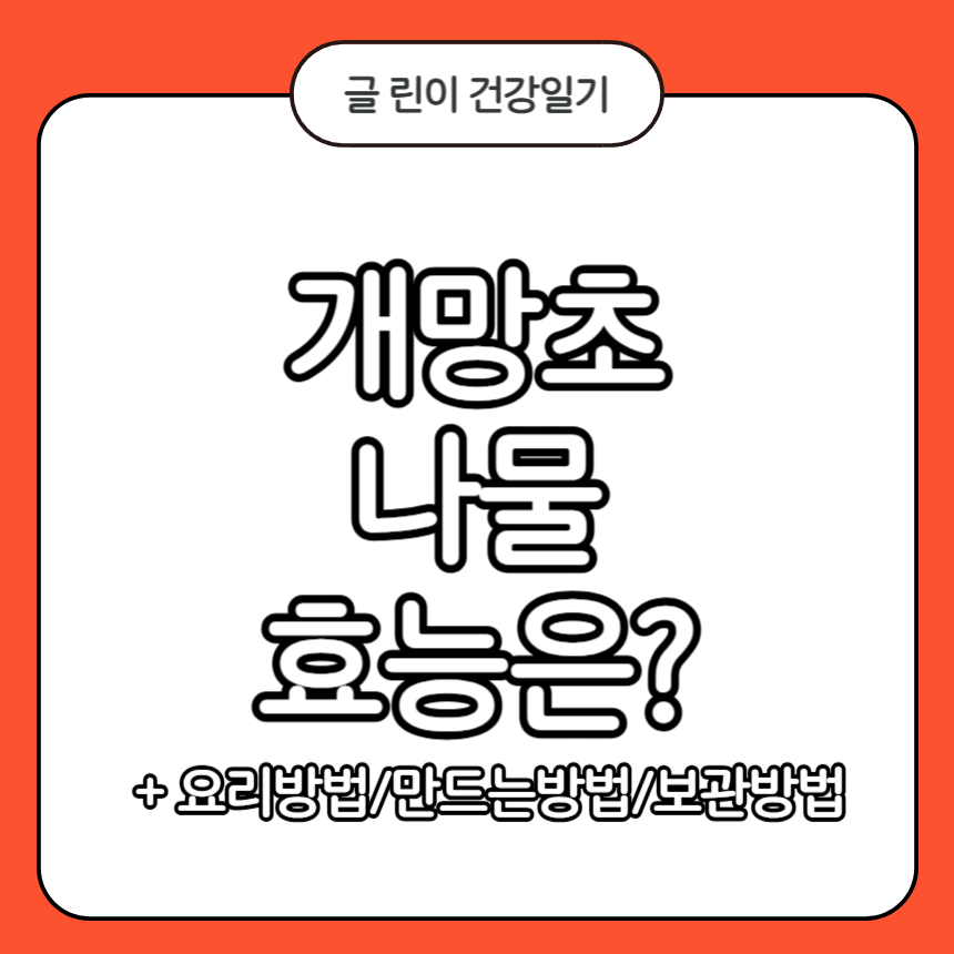개망초 나물 효능