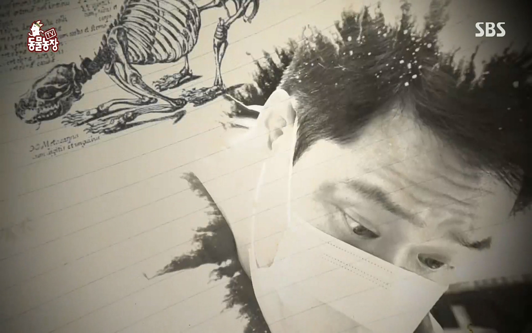TV 동물농장.E1064.220410p.H264-F1RST.mp4_20220410_182747.389.jpg