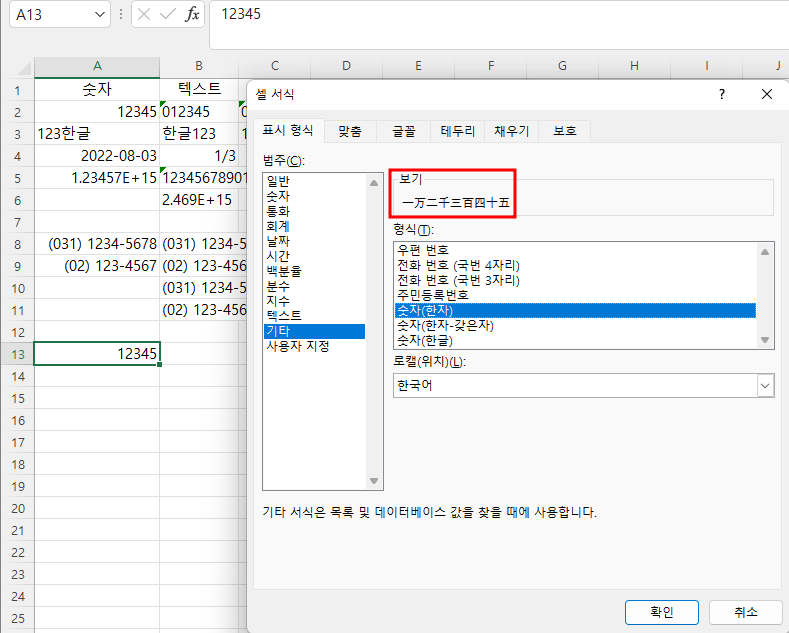 숫자(한자)로 표시 형식 지정