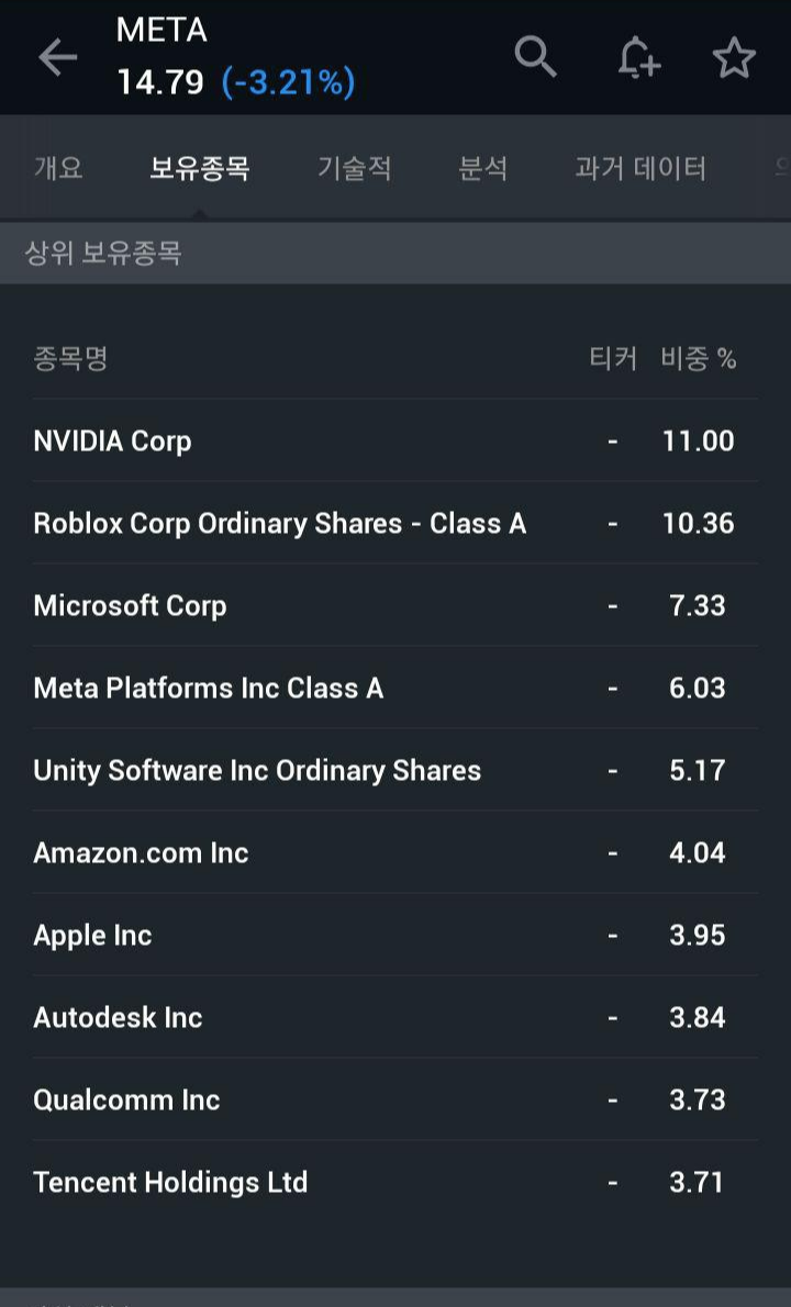 미국 메타버스 ETF META