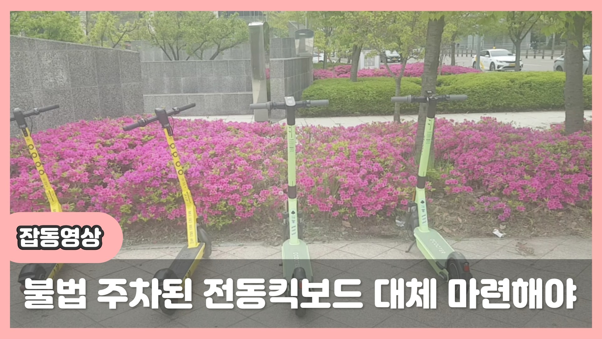  전동킥보드 불법주차 기승 대책마련 시급