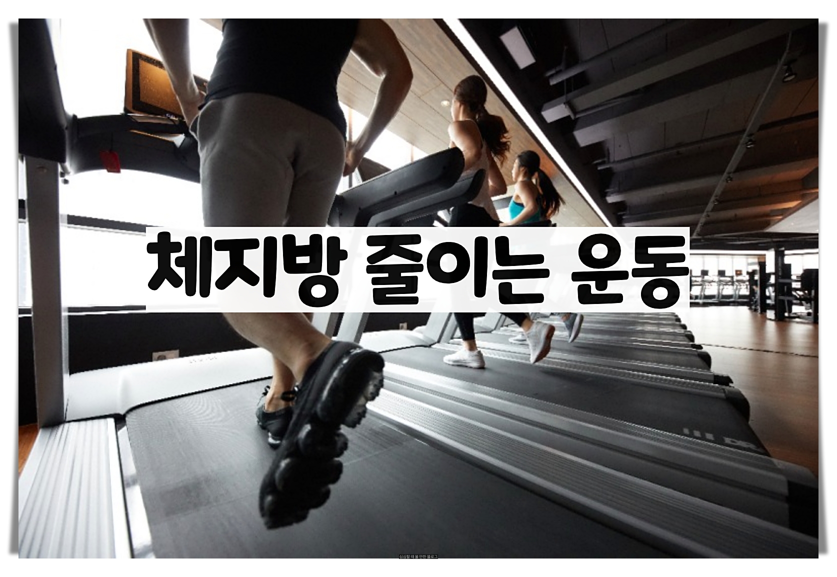  체지방 줄이는 운동 - 간단하지만 효과적인