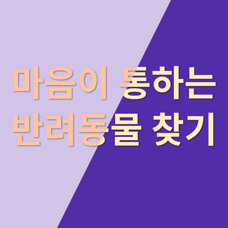 반려동물 입양_3