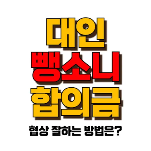 대인 뺑소니 합의금 썸네일