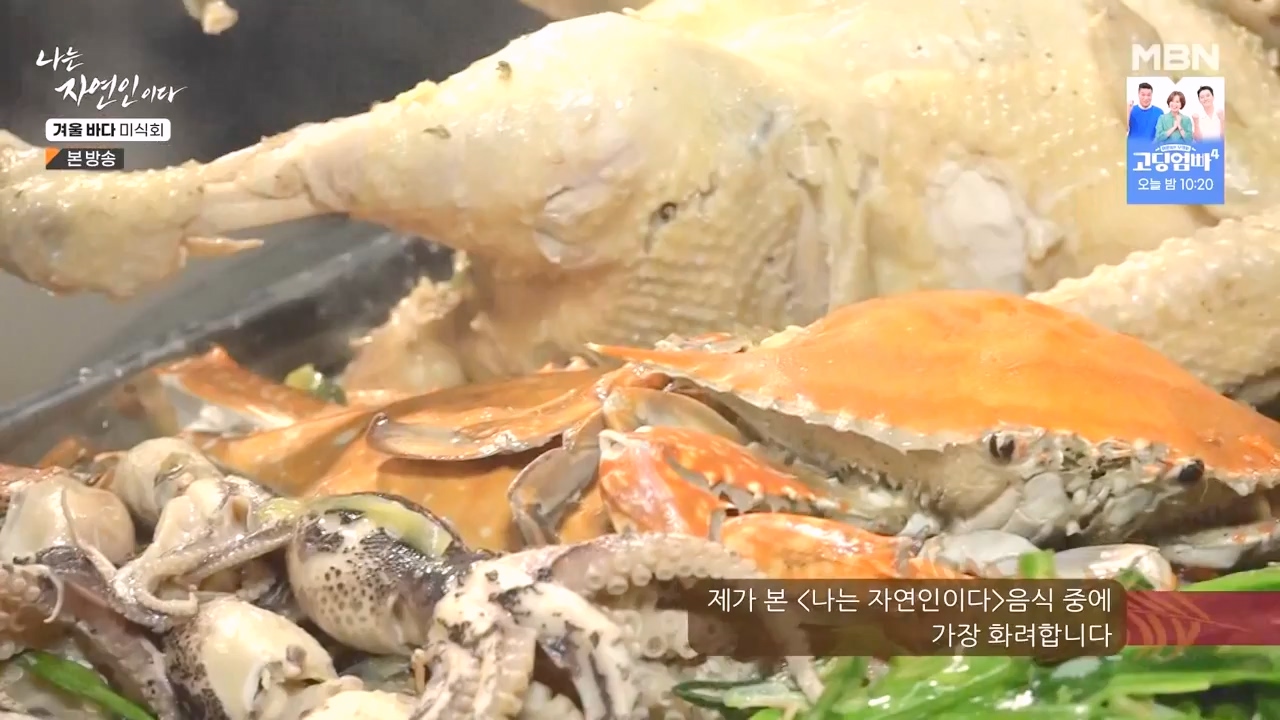 나는 자연인이다.E584.231214p-NEXT.mp4_20231214_194917.316.jpg