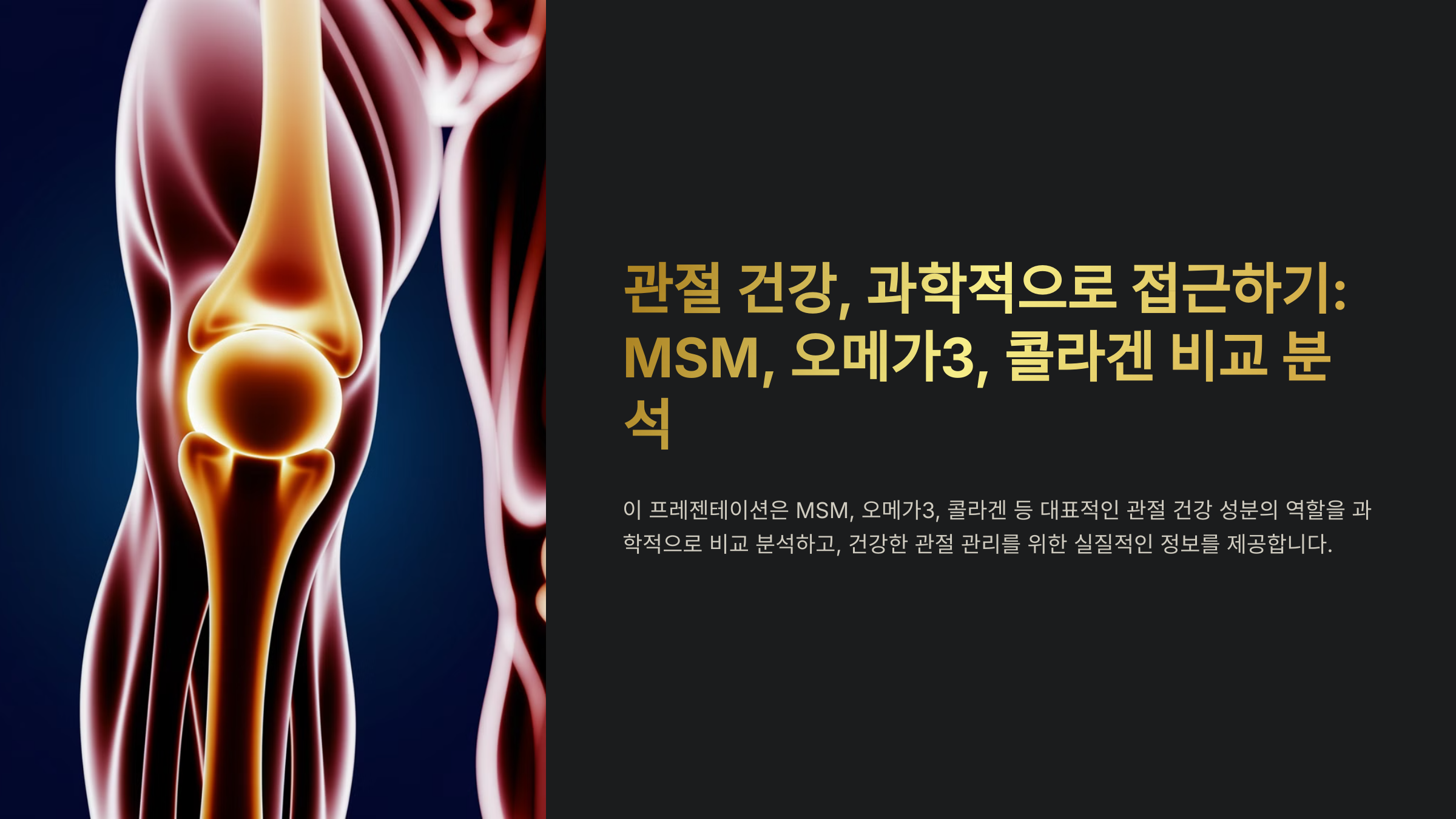 관절 건강에 효과 입증된 대표 성분
