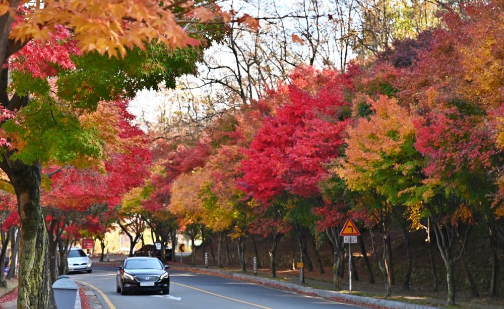 팔공산 순환도로&#44; 대구시