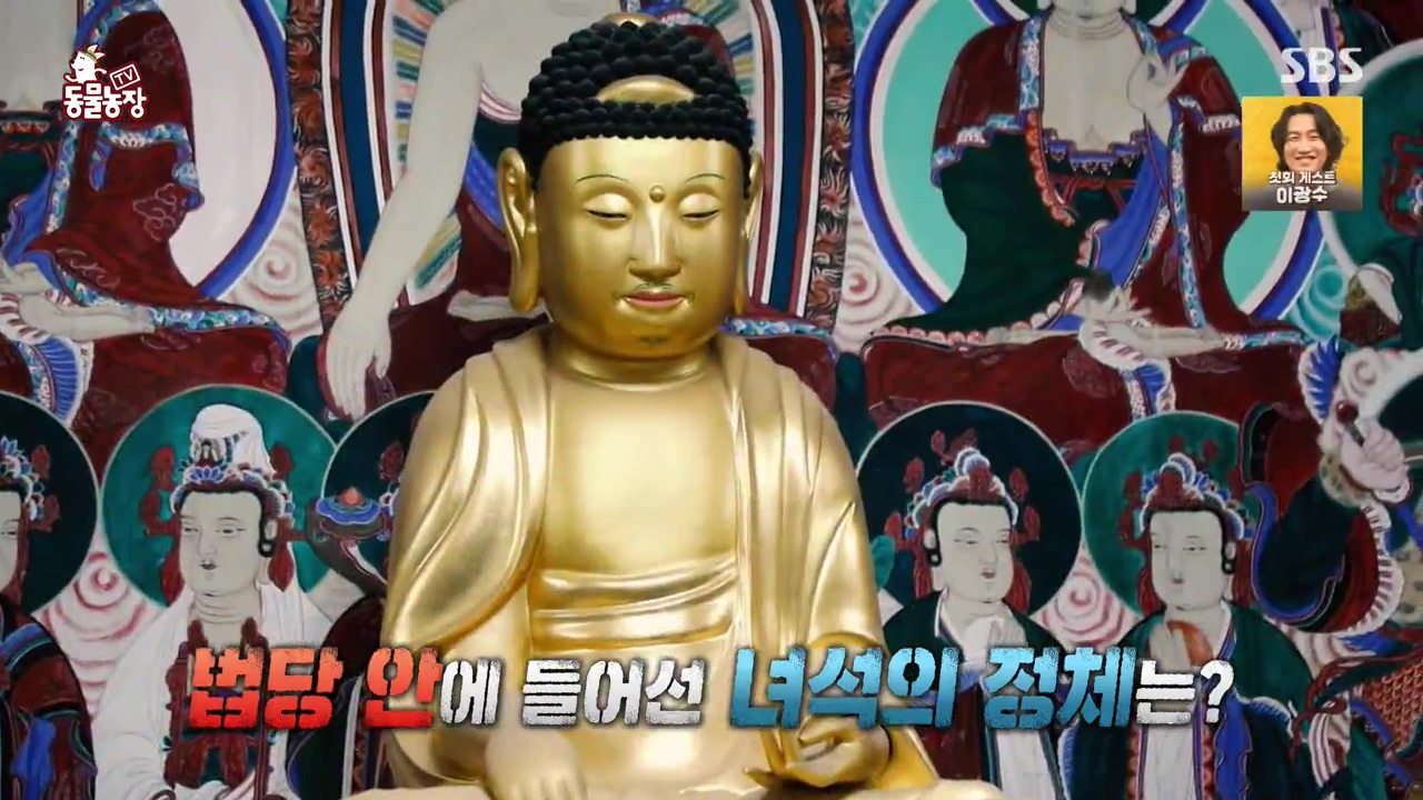 TV 동물농장.E1168.240422p-NEXT.mp4_20240421_163153.387.jpg