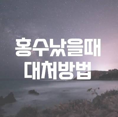  홍수 났을 때 대처방법