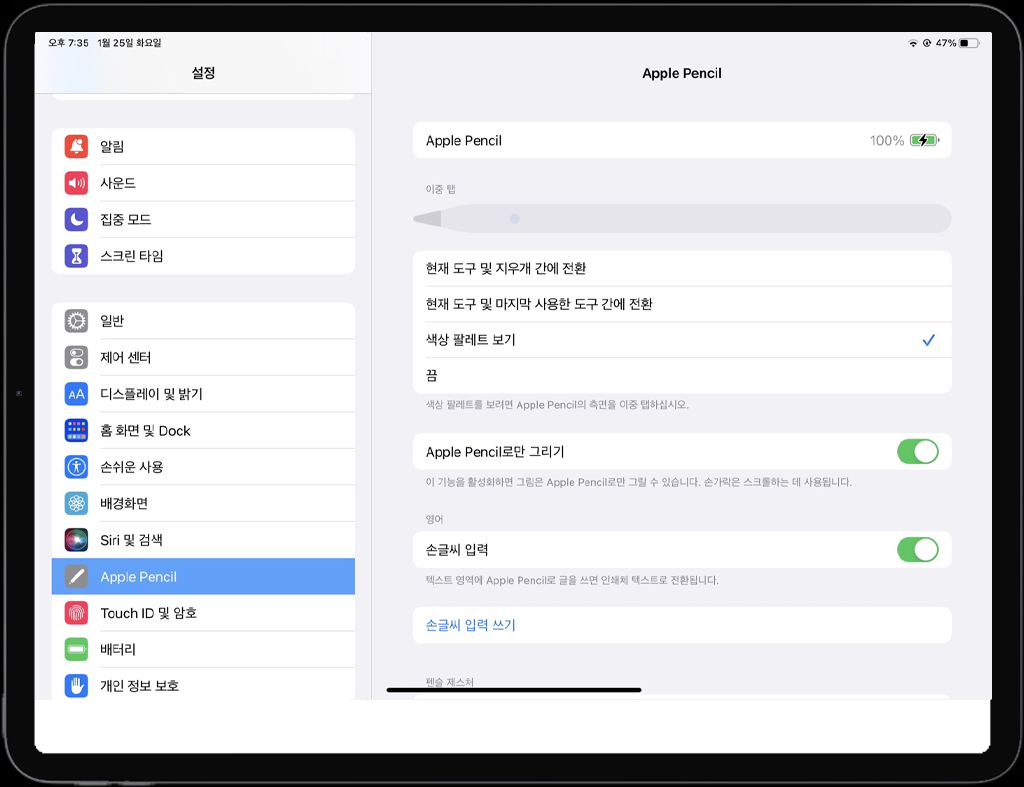 애플펜슬 이중탭 설정