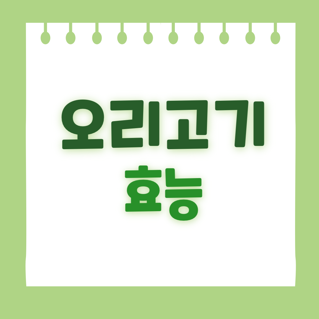 오리고기 효능