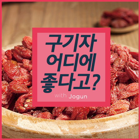  구기자 효능 구기자차 하루 한잔 건강 챙기기!