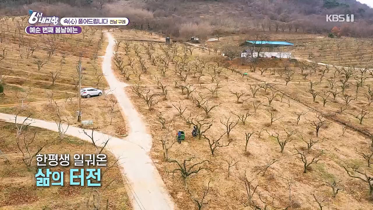 6시 내고향.E7744.230314p.H264-F1RST.mp4_20230314_175001.852.jpg