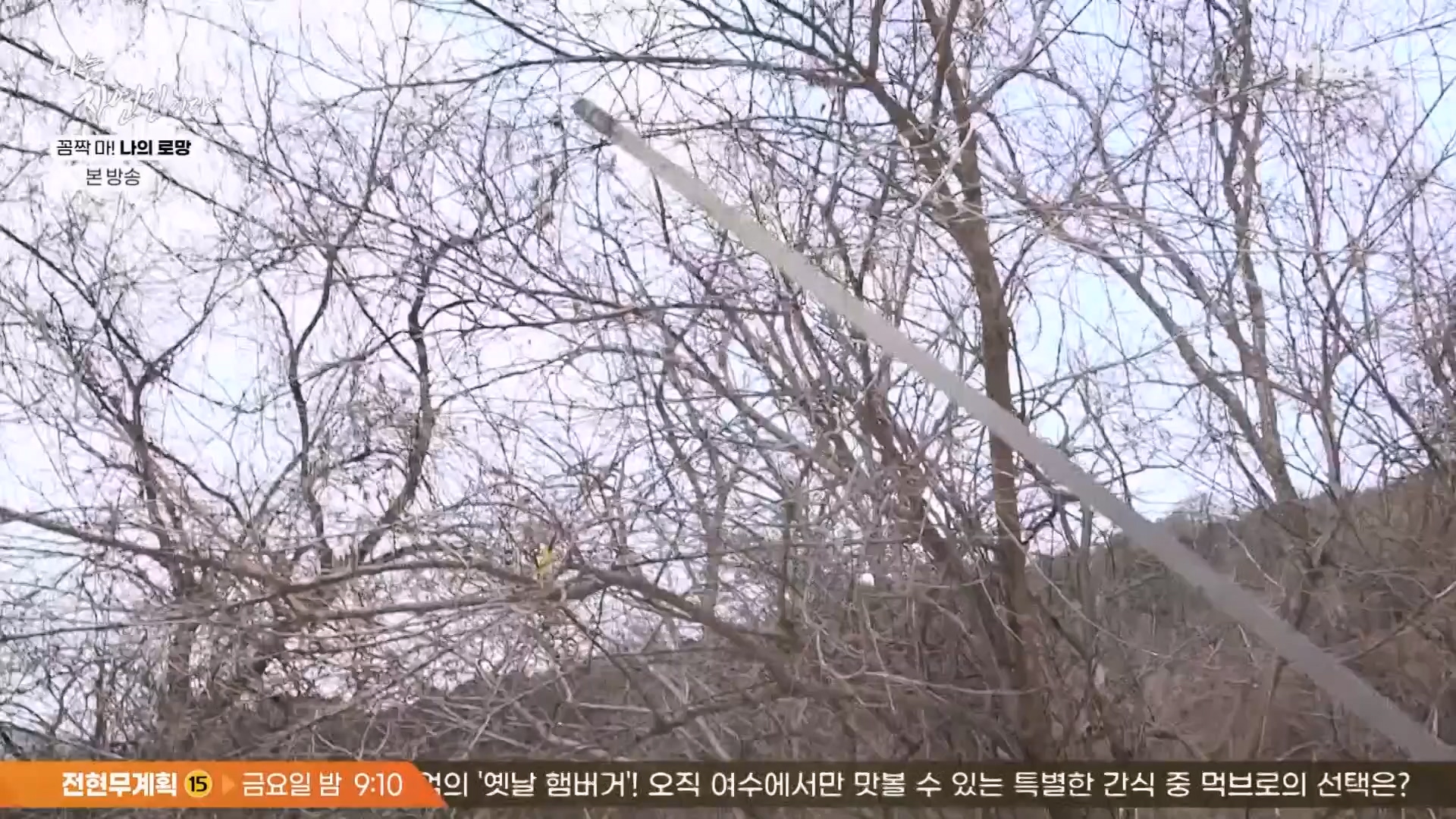 나는 자연인이다.E598.240320p-NEXT.mp4_20240321_202625.783.jpg