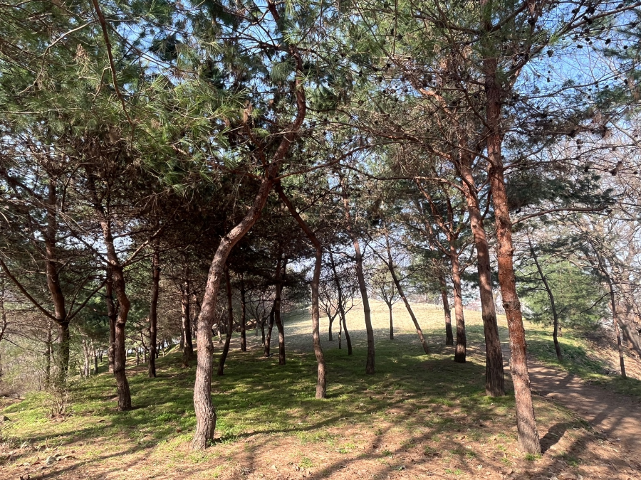 산책길멋진곳1