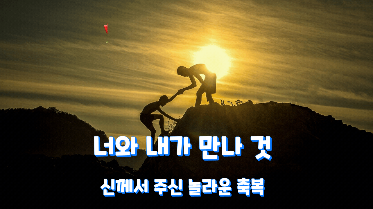  비타민 친구