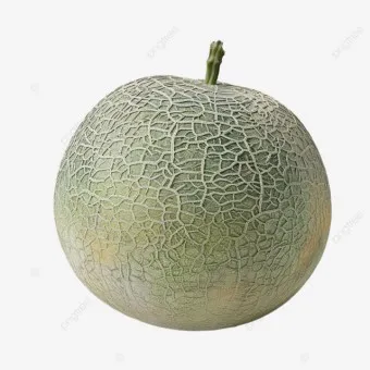 멜론 해지 서비스 중단 방법 안내 센터 해제법_22