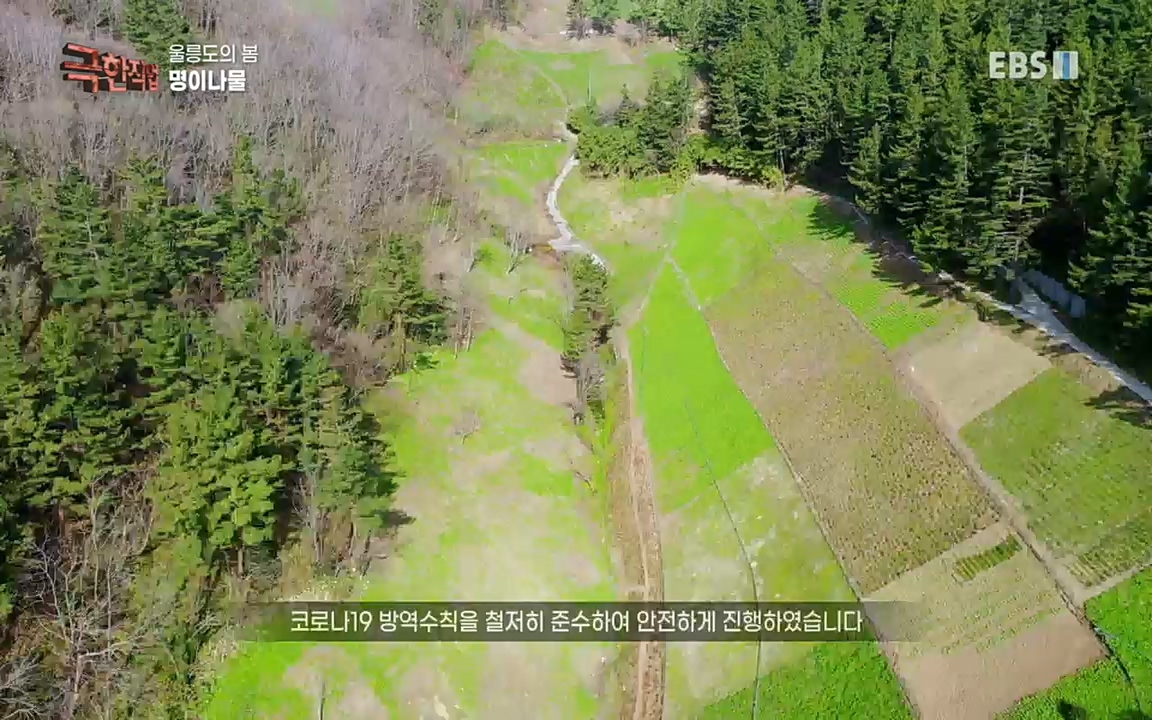 TV - 교육의 중심 EBS울릉도의 봄, 명이나물과 독도새우.mp4_20220525_210902.214.jpg
