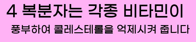  4 복분자는 각종 비타민이 풍부하여 콜레스테롤을 억제시켜 줍니다