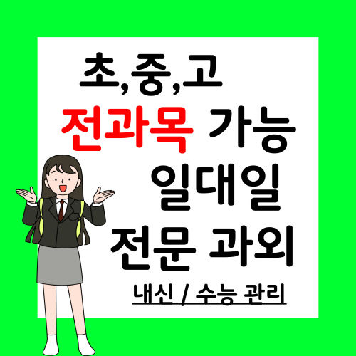  오학동 중학생 국어과외 현암동 고등학생 과학과외 일대일 선행 방학특강 일대일 정시 수시 코칭 물리 한국사과외