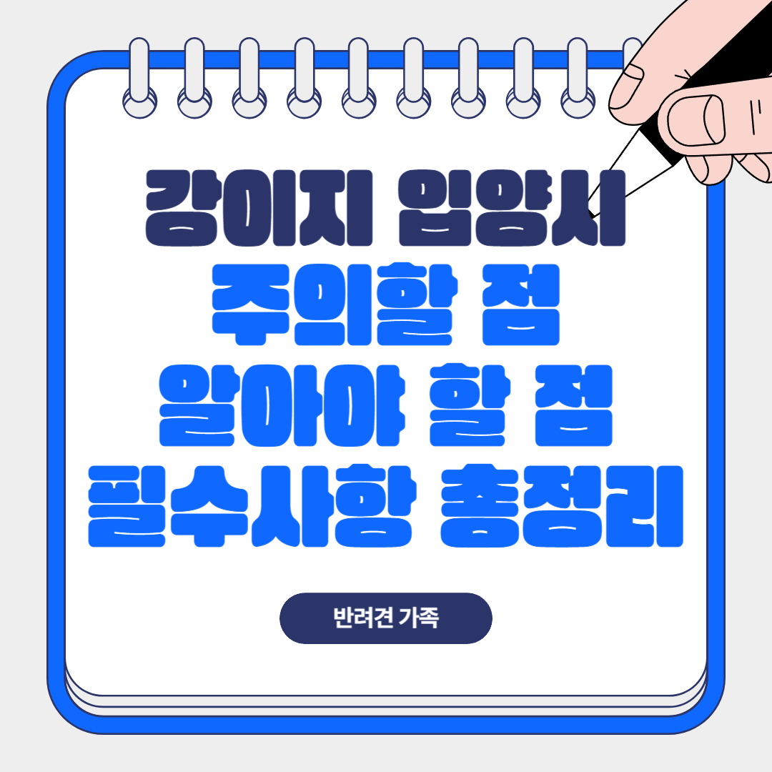 강아지 입양 시 주의할 점과 알아야 할 점, 필수사항 총정