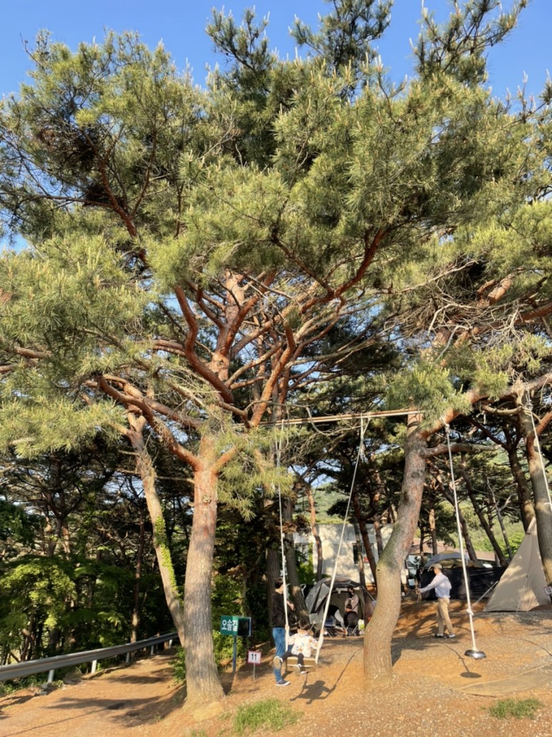 [트립] 대천오토캠핑장_캠핑 후기! #캠핑 #캠핑장 #대천캠핑 14