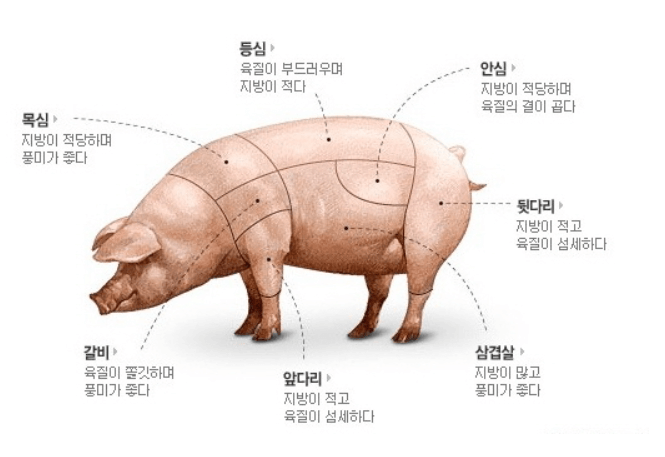 돼지고기_부위별소개