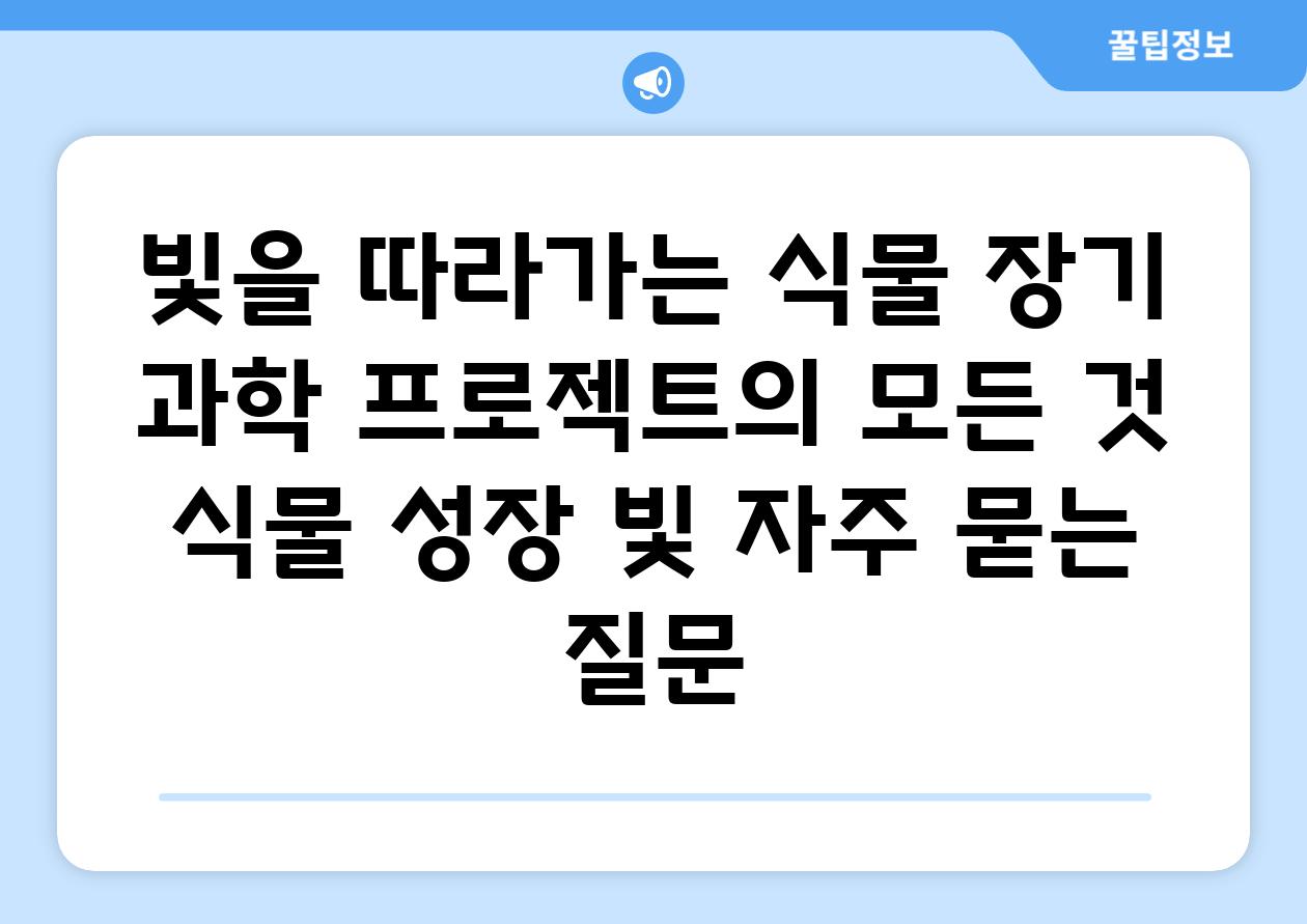 빛을 따라가는 식물| 장기 과학 프로젝트의 모든 것 | 식물, 성장, 빛